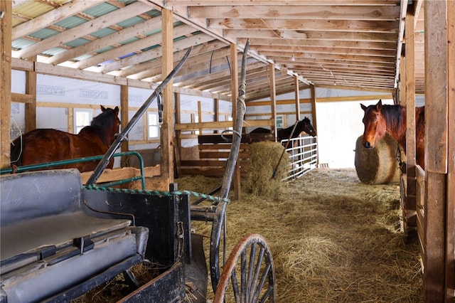 view of stable