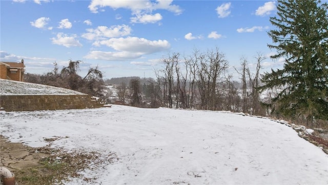 view of snowy yard