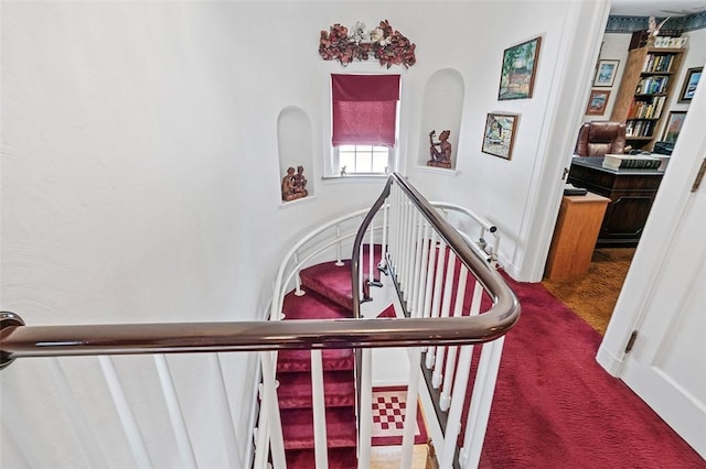 stairs with carpet floors