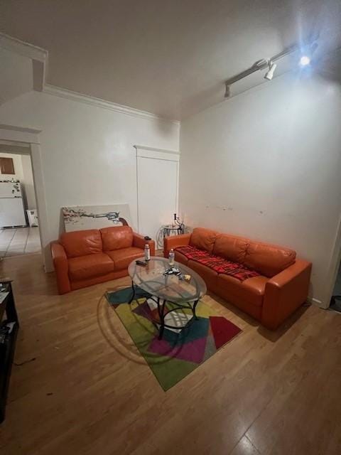 living area featuring track lighting and wood finished floors