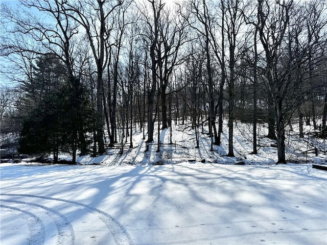 view of yard layered in snow