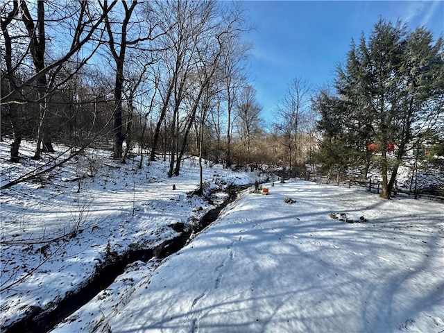 view of yard covered in snow