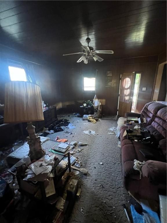 miscellaneous room with ceiling fan