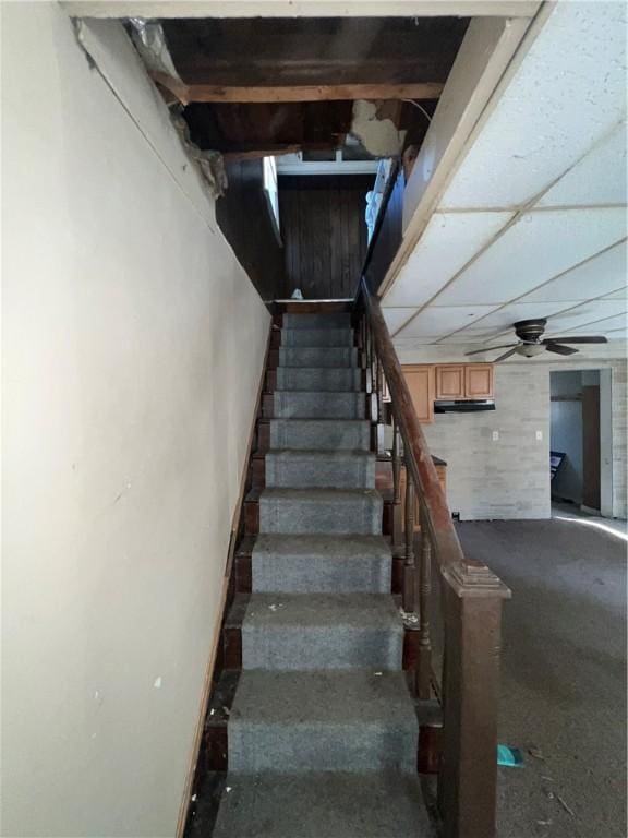 stairs with a ceiling fan and a paneled ceiling