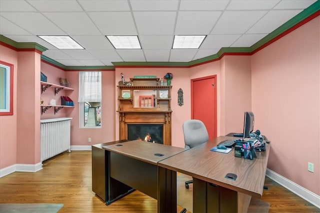 home office featuring baseboards, a drop ceiling, wood finished floors, a lit fireplace, and crown molding