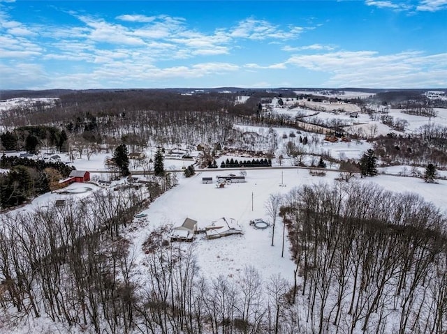 view of snowy aerial view