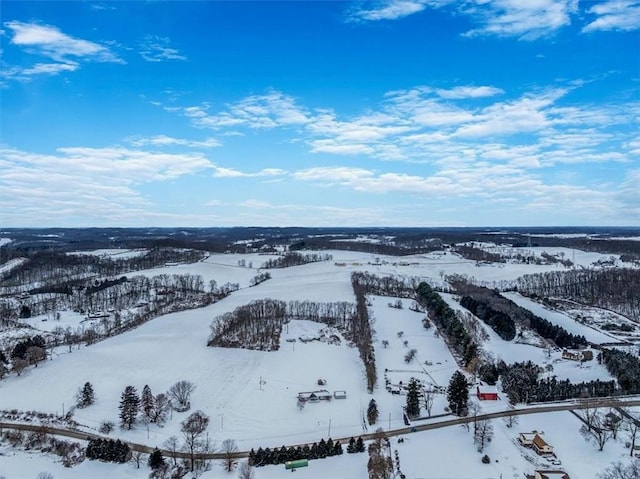 view of snowy aerial view