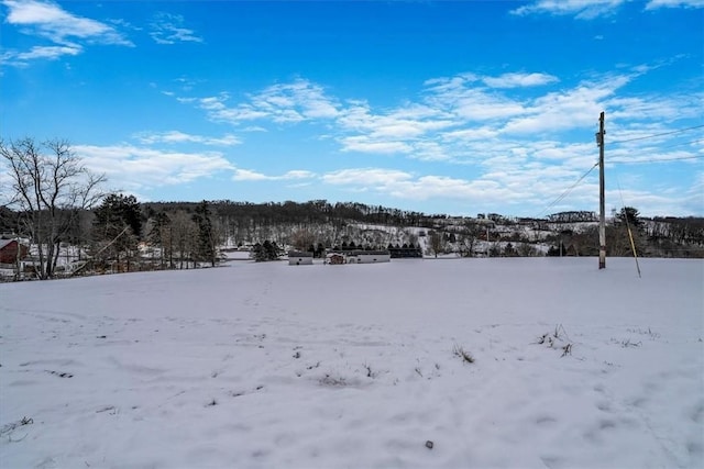 view of yard covered in snow