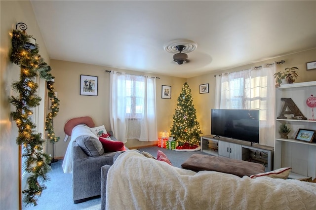 living area with carpet floors