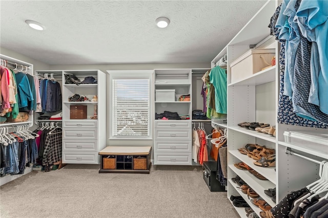 spacious closet featuring light colored carpet