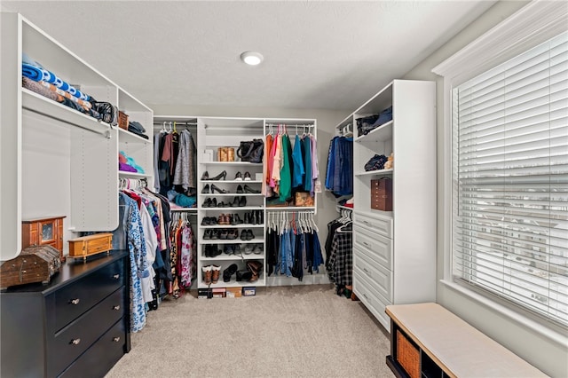 spacious closet with light colored carpet