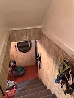 stairs with wood walls and vaulted ceiling