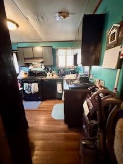 kitchen with wood finished floors, black range oven, and under cabinet range hood