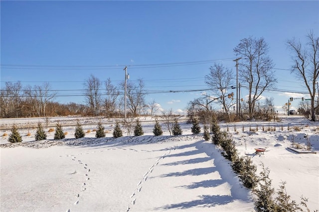 view of yard covered in snow