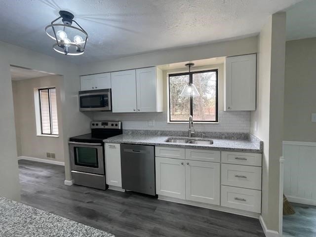 kitchen with dark wood-type flooring, a healthy amount of sunlight, appliances with stainless steel finishes, and a sink