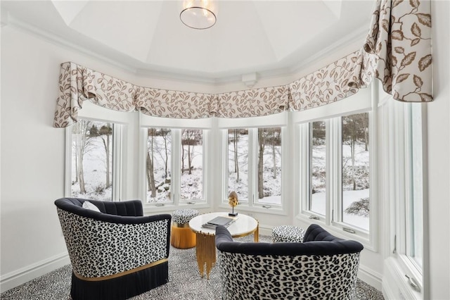 interior space with baseboards, a raised ceiling, and crown molding