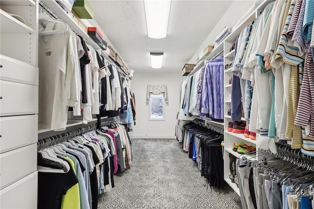 spacious closet featuring carpet floors