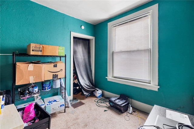 bedroom with carpet flooring