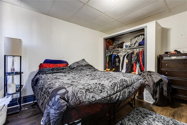 bedroom featuring a paneled ceiling, a closet, and wood finished floors