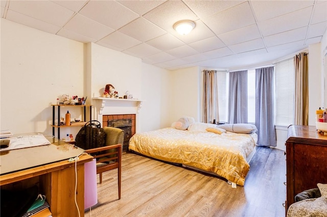 bedroom featuring a paneled ceiling, a fireplace, and wood finished floors