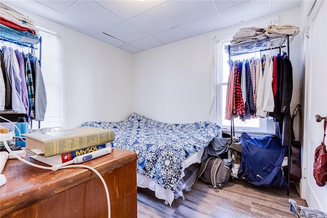 bedroom with a paneled ceiling and wood finished floors