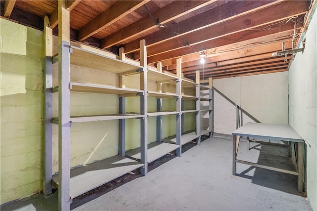 unfinished basement with concrete block wall