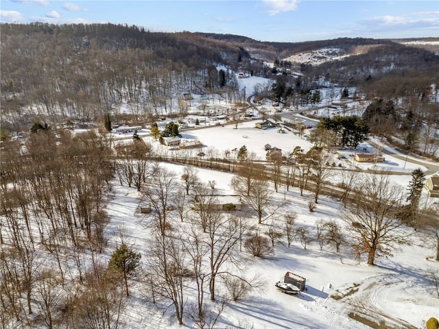 view of snowy aerial view