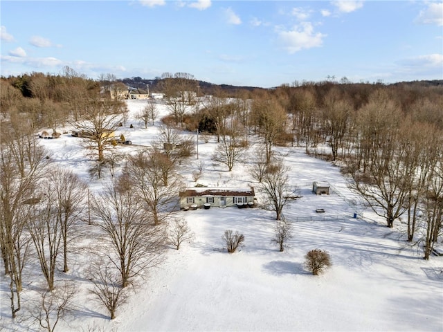 view of snowy aerial view