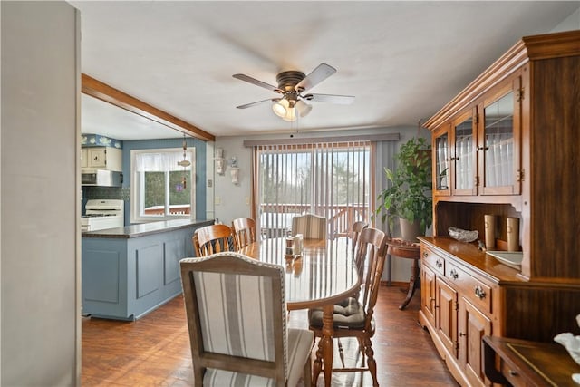 dining area with ceiling fan and dark wood-style flooring