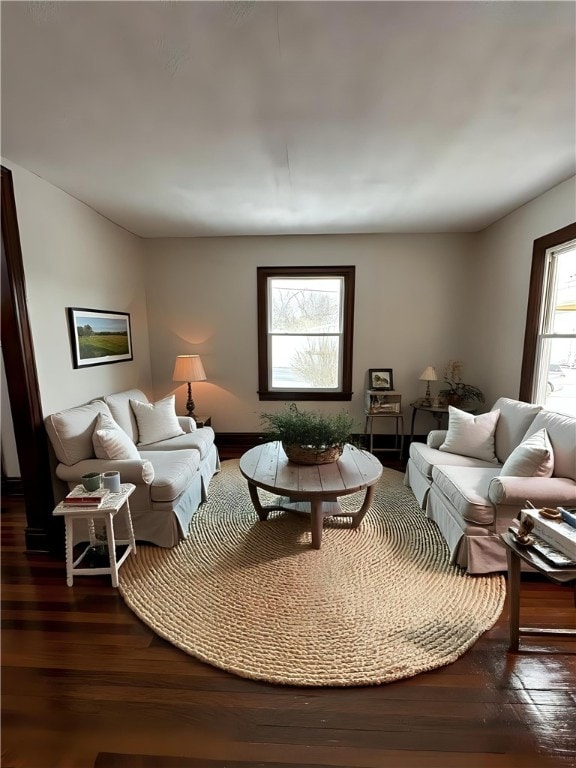 living room with dark wood-style floors