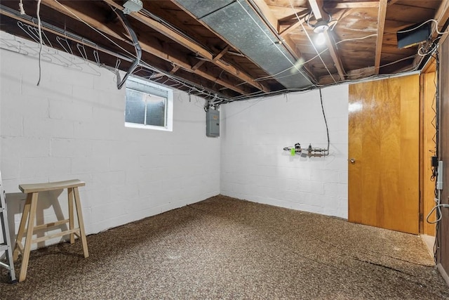 basement with electric panel