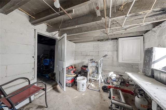 view of unfinished basement