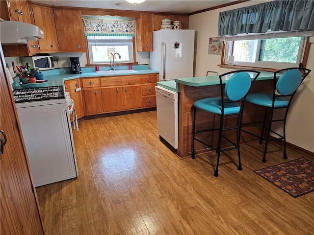 kitchen with under cabinet range hood, white appliances, a sink, light countertops, and brown cabinets