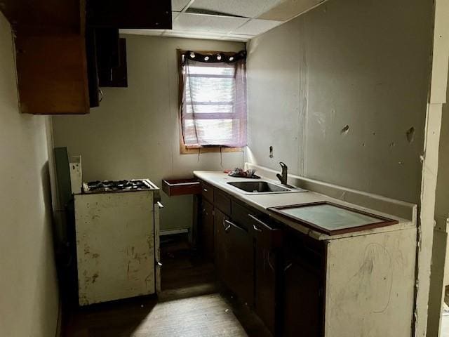 kitchen featuring dark brown cabinets, a drop ceiling, a sink, and light countertops