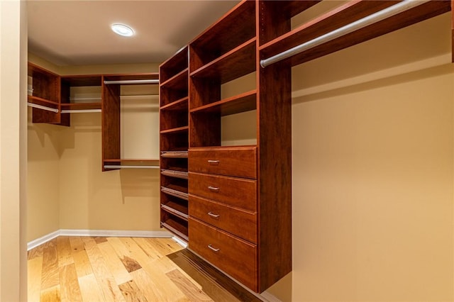 walk in closet featuring light wood-style floors