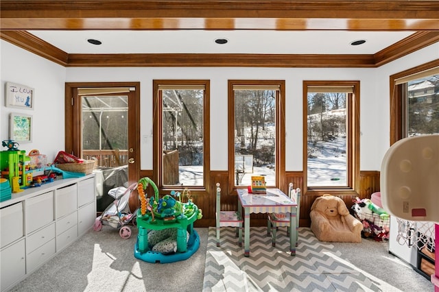 game room featuring a wainscoted wall, light carpet, and crown molding