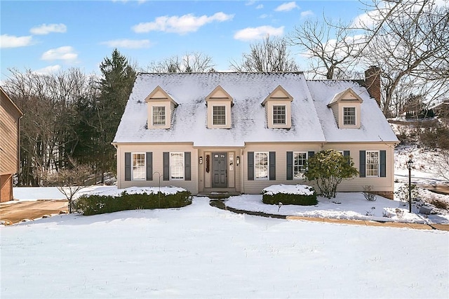 view of cape cod home