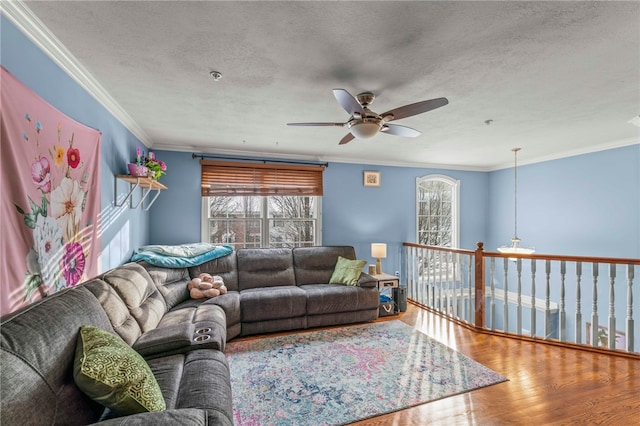 living room with a textured ceiling, ornamental molding, and wood finished floors