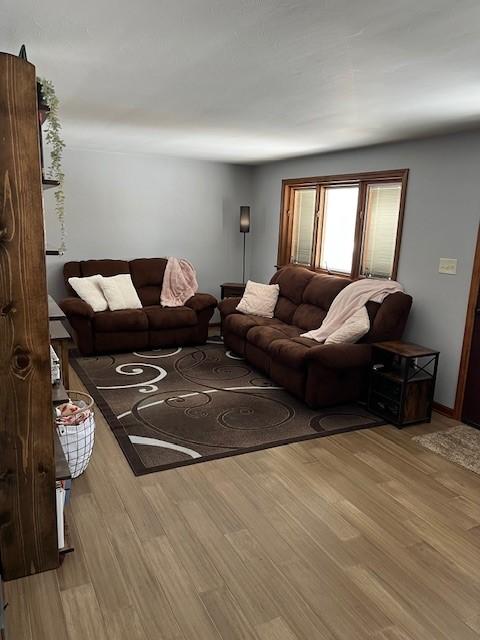 living room with light wood-type flooring