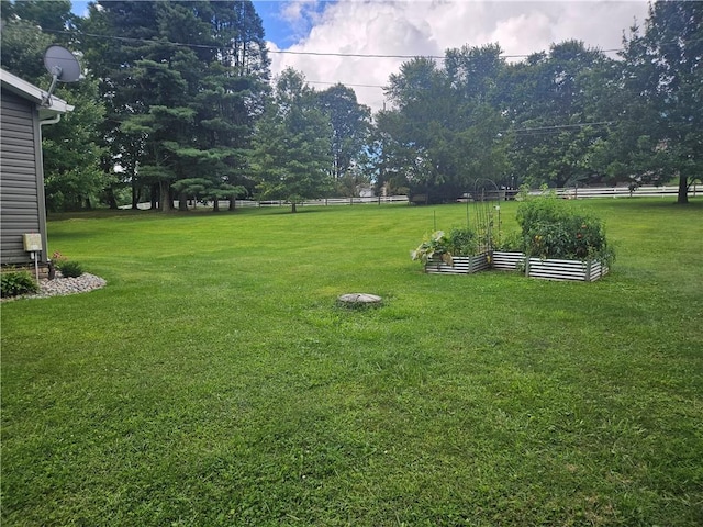 view of yard with a vegetable garden and fence