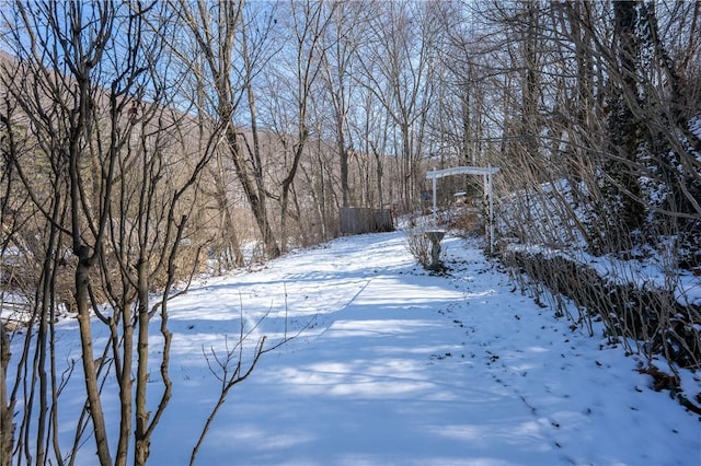 view of yard layered in snow