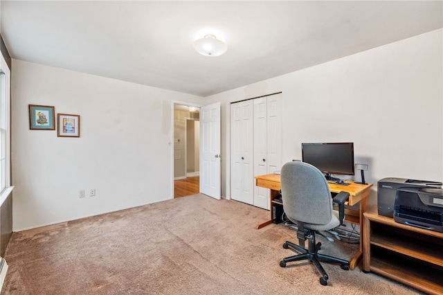 office space with carpet