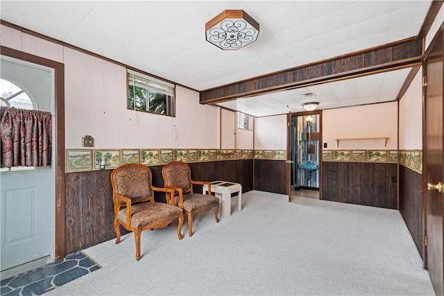 sitting room featuring carpet, wooden walls, and wainscoting