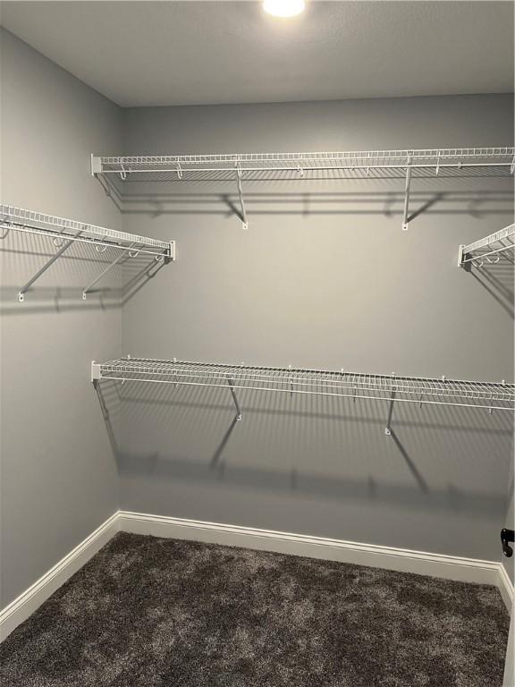 115 White Fox Ct Unit 33, North Sewickley Twp, PA 16117 - walk in closet featuring carpet