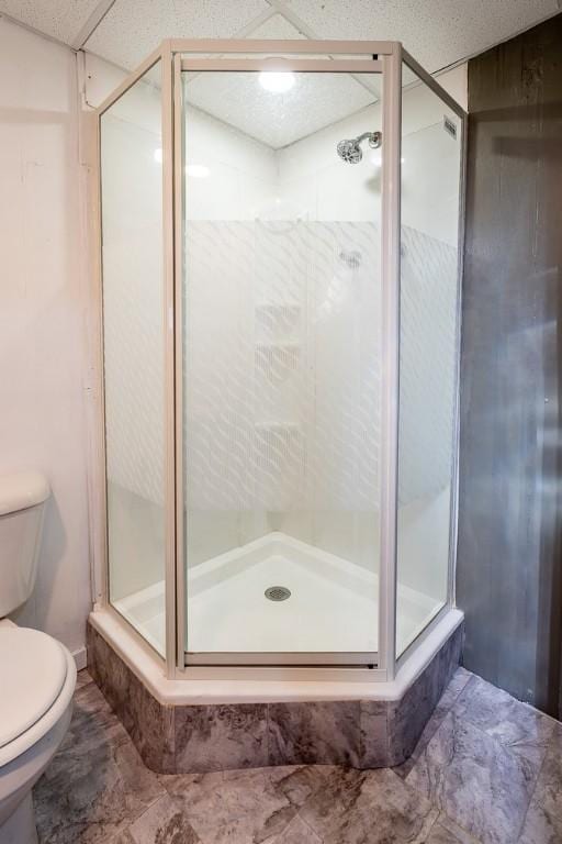 bathroom with a stall shower and toilet