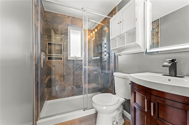 bathroom featuring toilet, a shower stall, and vanity