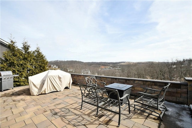 view of patio / terrace with area for grilling