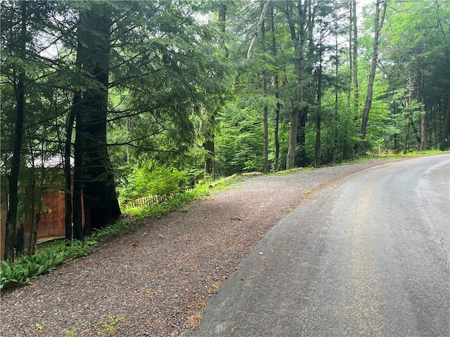 1958 Church Hill Rd, North-Other Area, PA 16351 - view of road with a wooded view