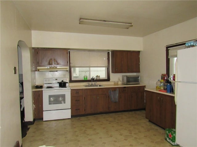 kitchen with dark brown cabinetry, under cabinet range hood, white appliances, a sink, and light countertops