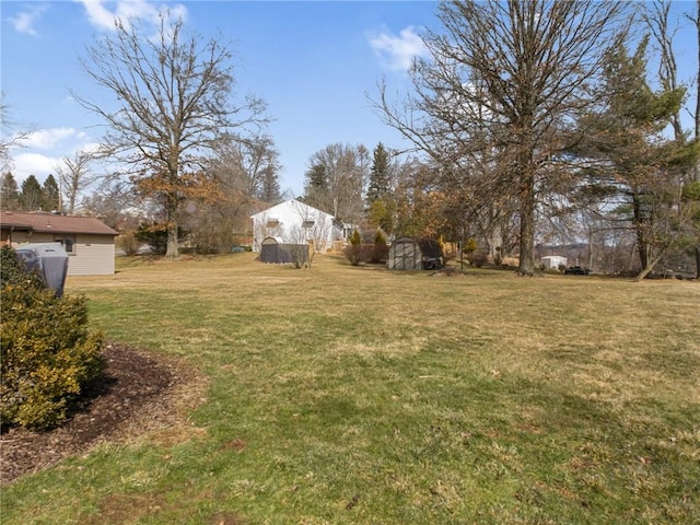 view of yard with a shed and an outdoor structure